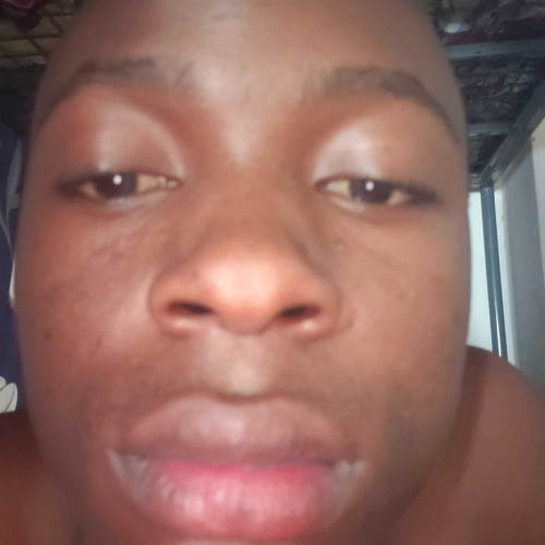 Noah N. profile photo