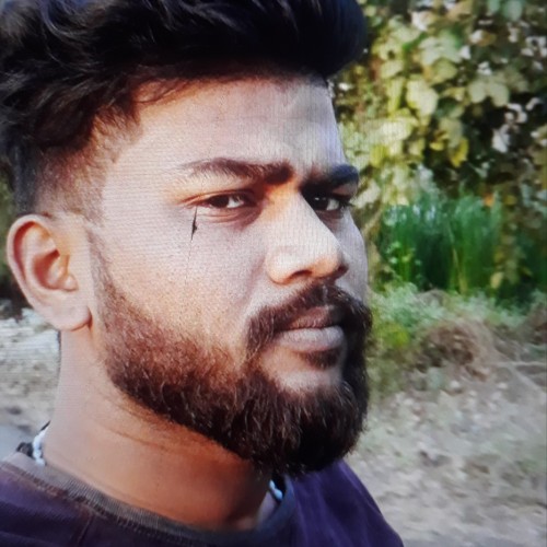 Allan M. profile photo