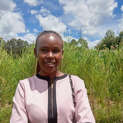 Mary K. profile photo