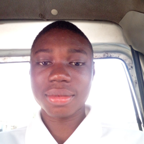 Chidubem A. profile photo