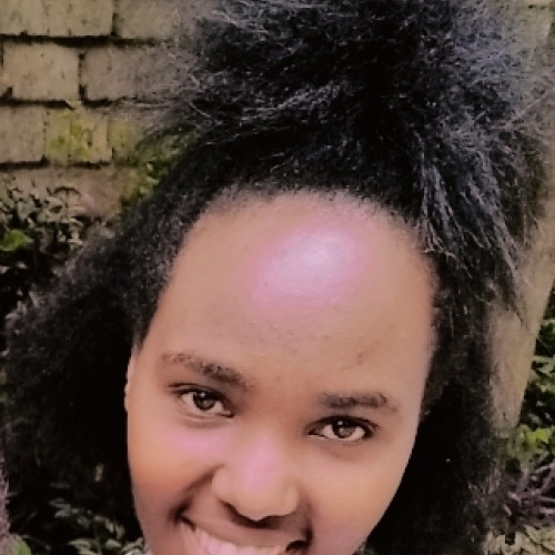 Mevin N. profile photo