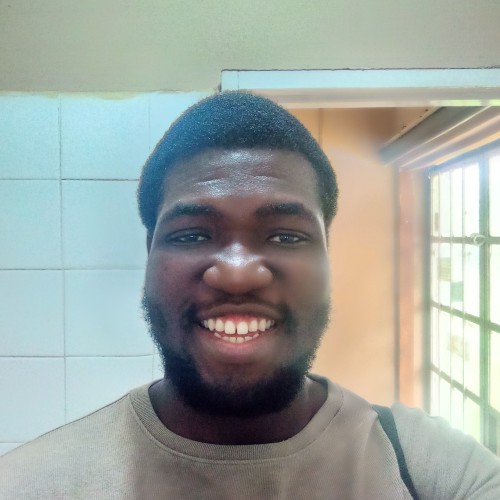 Temiloluwa A.