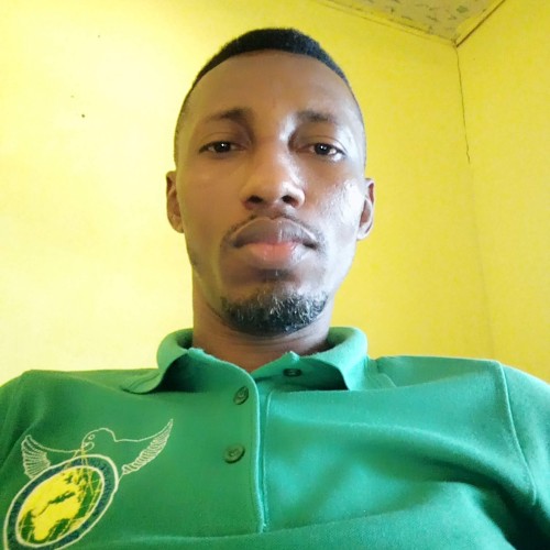 Kingsley S.