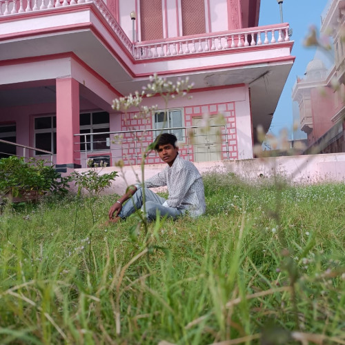 Naresh N. profile photo