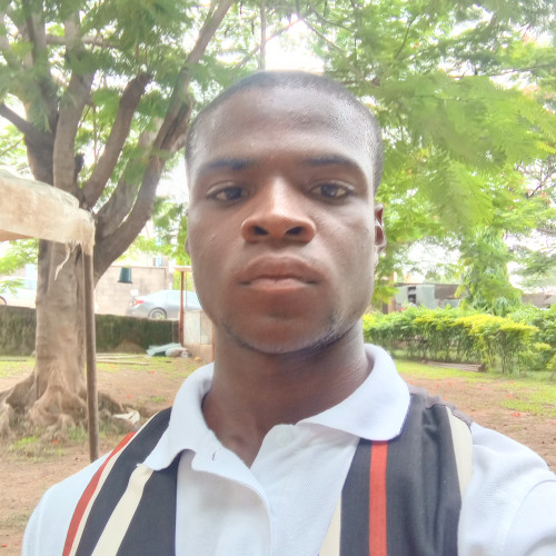 Chinonso O. profile photo