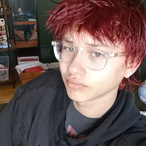 Daniel K. profile photo