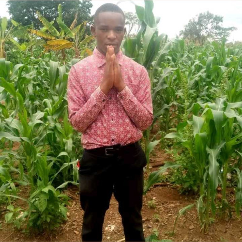 Stanley m. profile photo