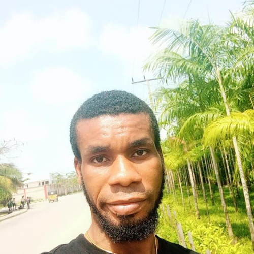 Barisudor A. profile photo
