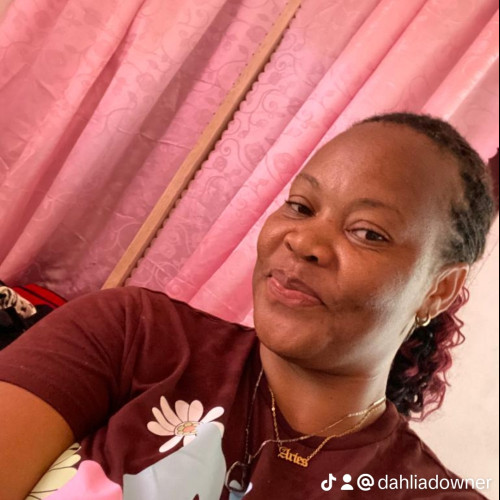 Dahlia B. profile photo