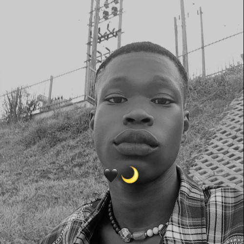 Paul P. profile photo