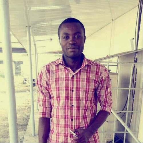 Bankole P.