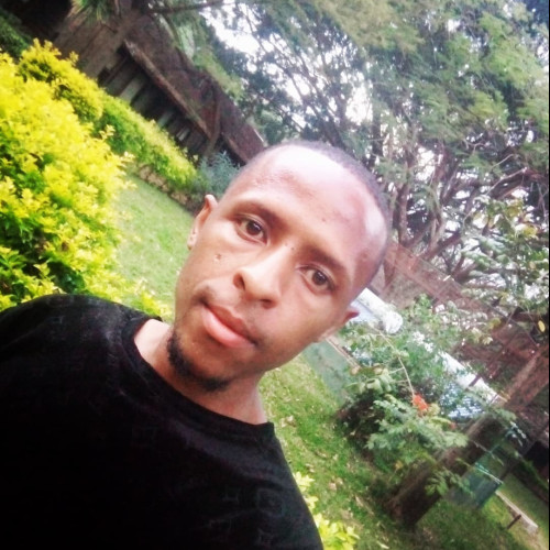 joe k. profile photo