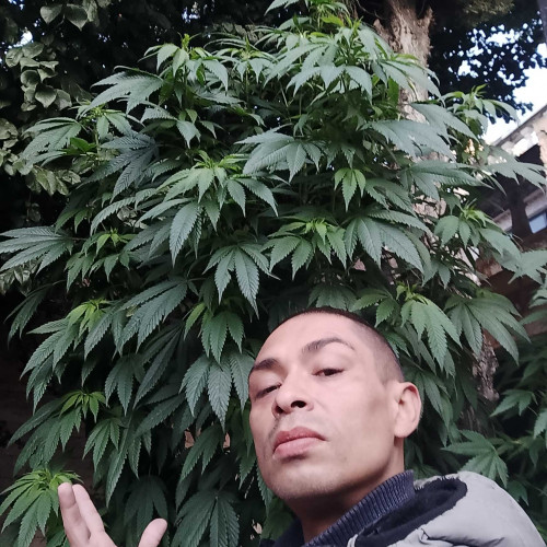 Jose Ricardo M. profile photo