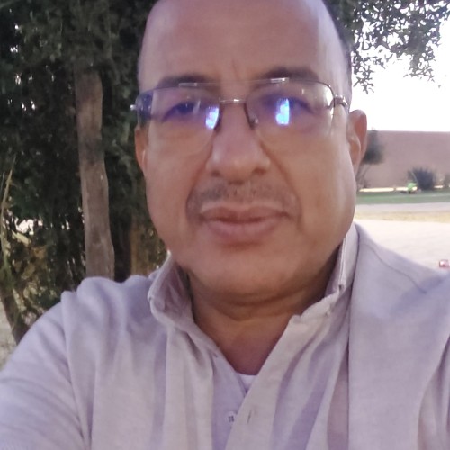 Abdelaziz B.