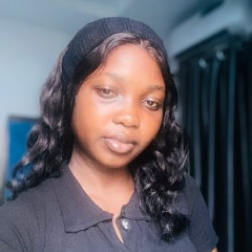 Adegbite T. profile photo