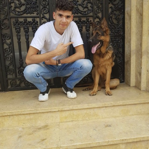 saber n. profile photo