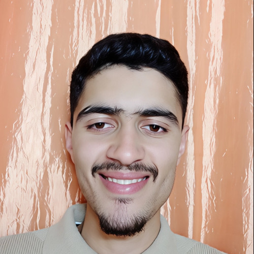 Oualid R.