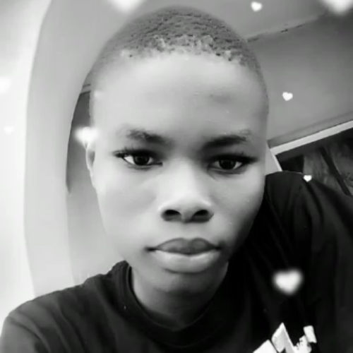 Sharafdeen A. profile photo