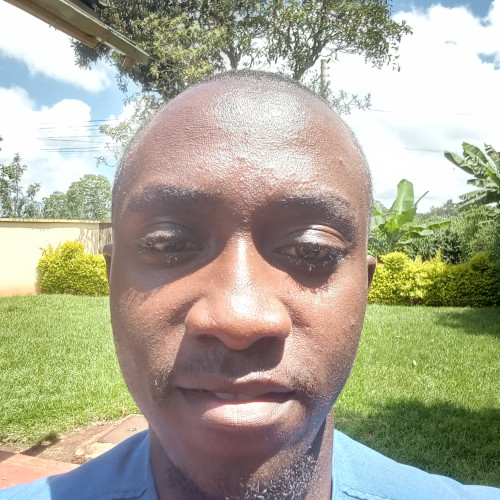 Ian M. profile photo