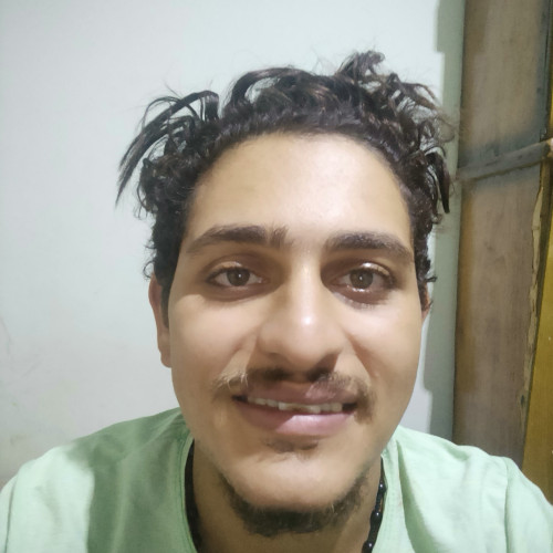Hamdy F.