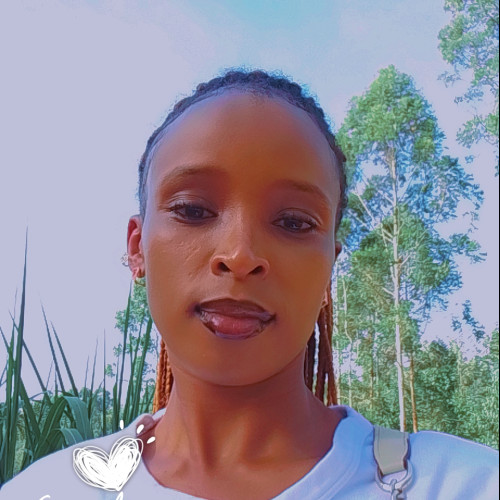 Liz N. profile photo