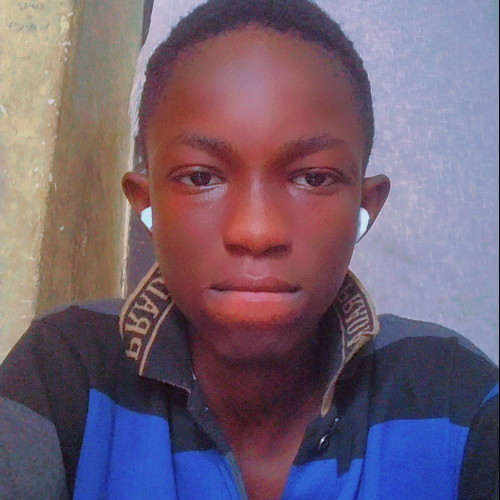 Stegineer  B. profile photo