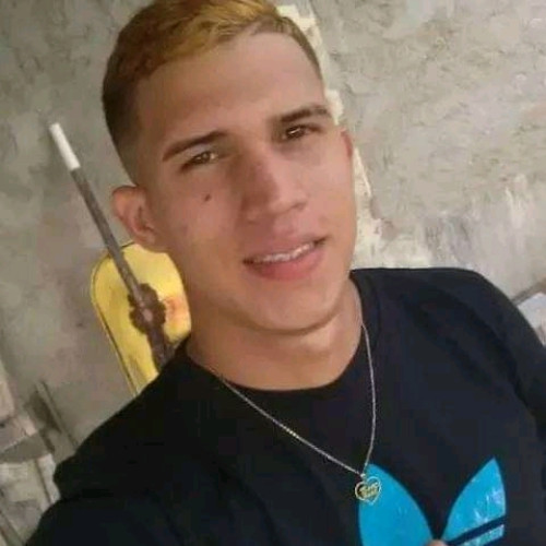 Daniel P. profile photo