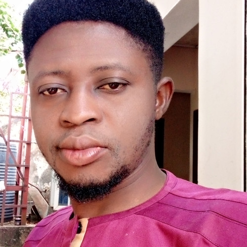Christopher Amedu O. profile photo