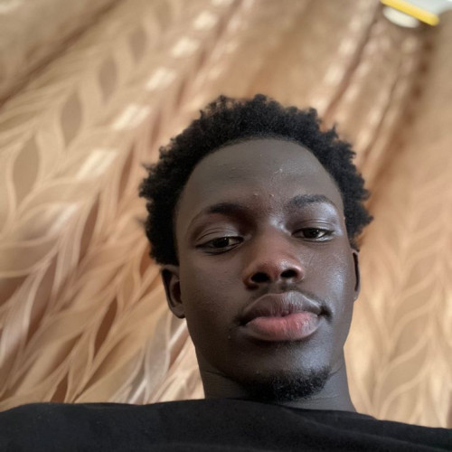 Alex M. profile photo