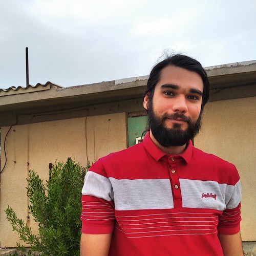 Hamidreza D.