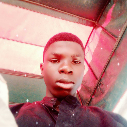 darasimi M. profile photo