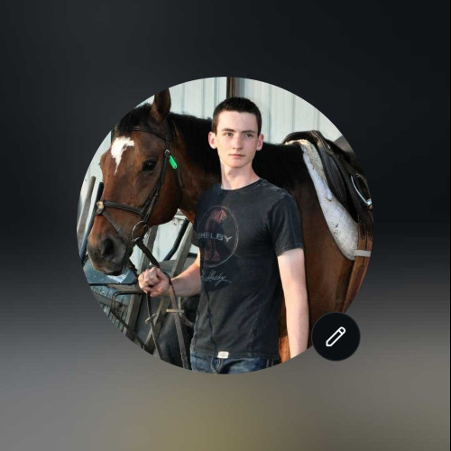 Daniel H. profile photo