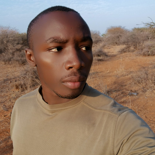 Dennis K. profile photo