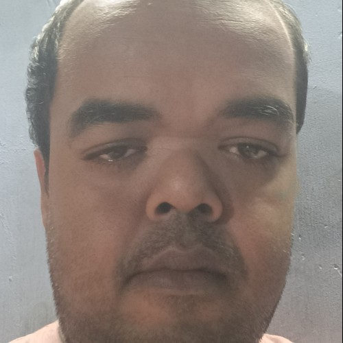 Kaukab L.