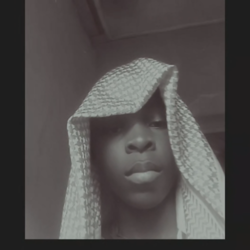 Bolaji  N. profile photo
