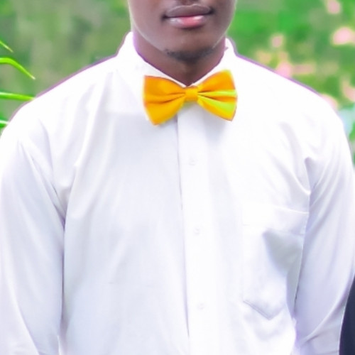 Emmanuel S. profile photo