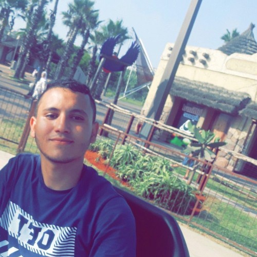 imadeddine y. profile photo