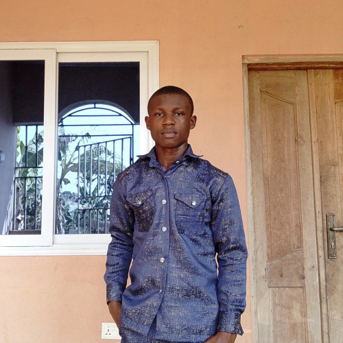 Amanor  D. profile photo