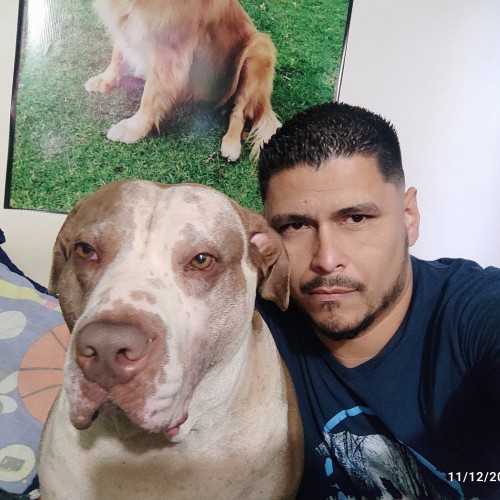 Carlos h. profile photo