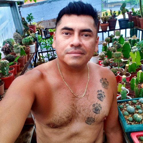 Evert  S. profile photo