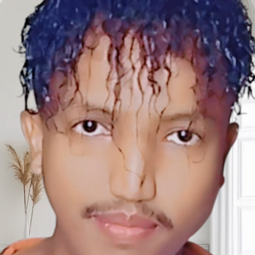 hamza Z. profile photo