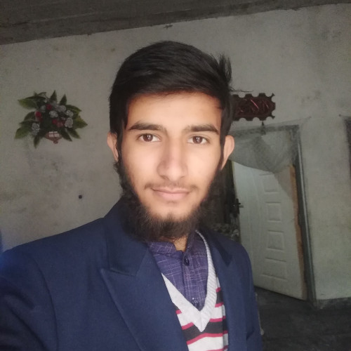 Ali Z. profile photo