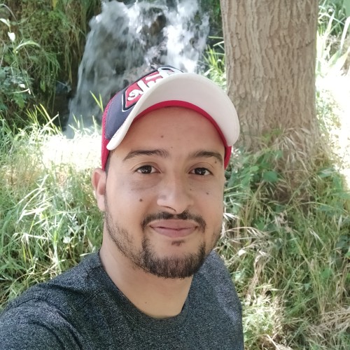 Abdelaaziz A.