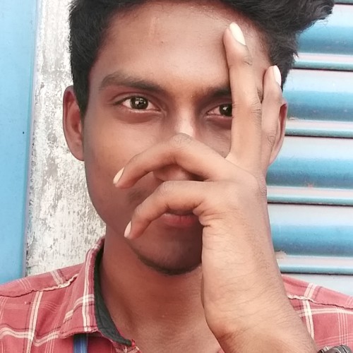 Naresh K.