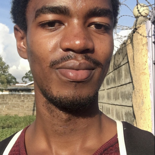 Leslie S. profile photo