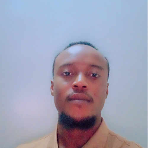 David O. profile photo