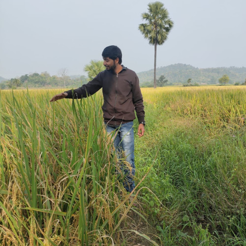 Rajesh  B. profile photo