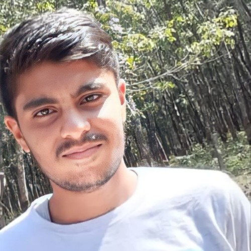 Ashish K.