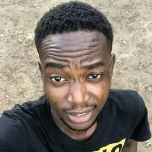Olaniyi  I. profile photo