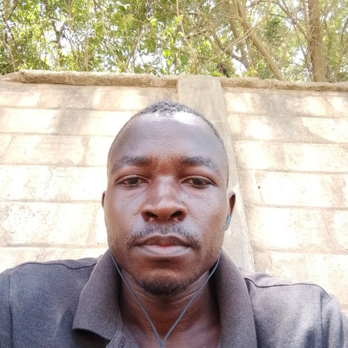 Zafarani m. profile photo